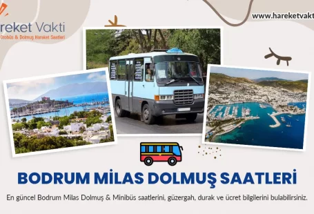 bodrum milas dolmus saatleri